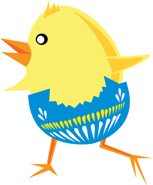 Free chick chicken cute illustration