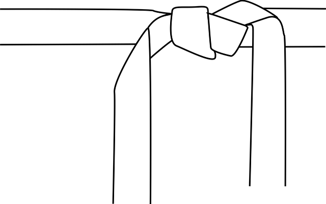 Free karate judo belt vector
