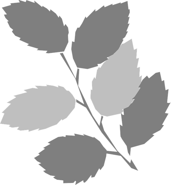 Free leaves nature twig vector