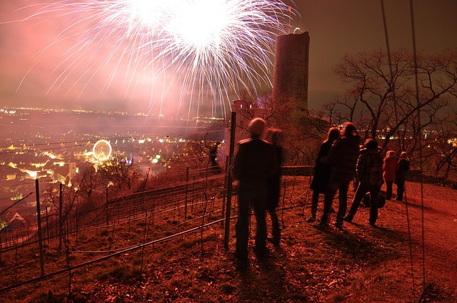 Free Fireworks People photo and picture