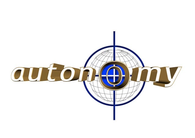 Free autonomy self-administration right globe illustration