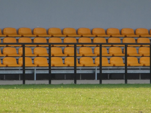 Free Armchair Stadion photo and picture