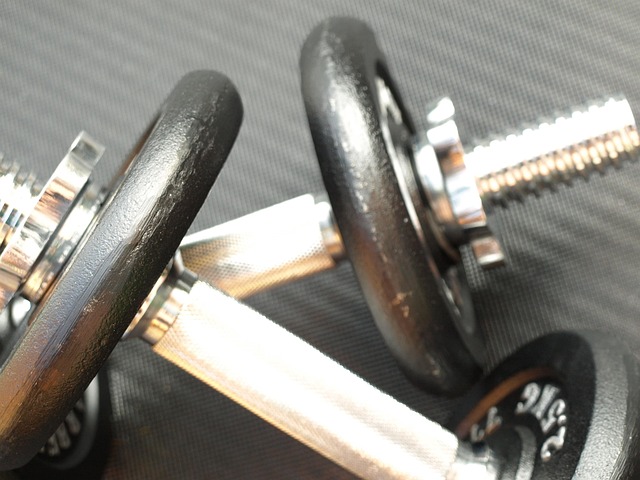 Free Pair Of Dumbbells Dumbbells photo and picture