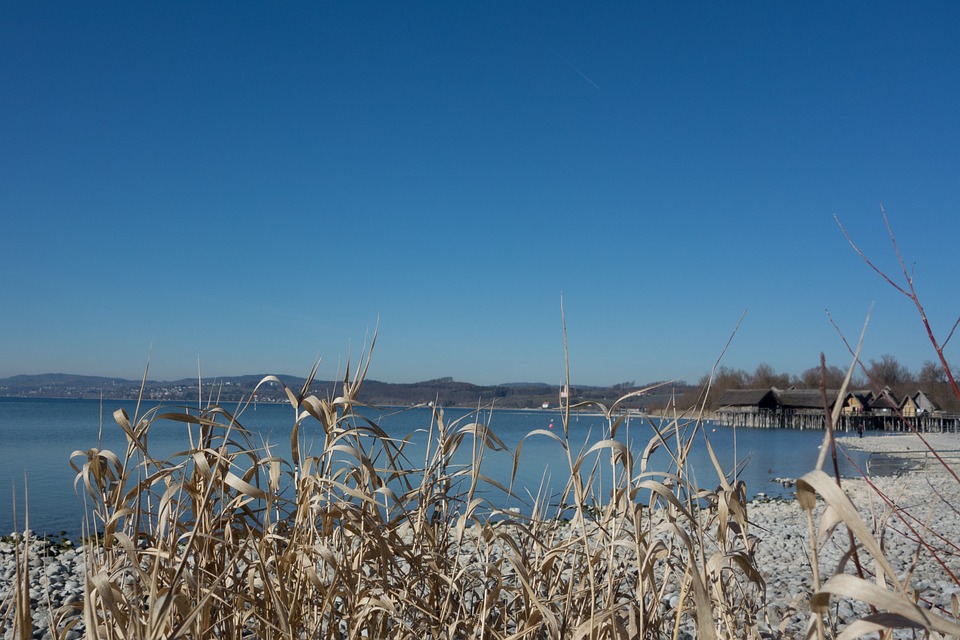 Free photo Lake Constance, Water, Beach, Reed Free Image on Pixabay
