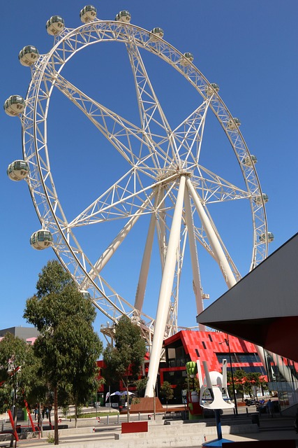 Free Melbourne Star Ferry Wheel photo and picture