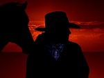 horse, cowboy, west