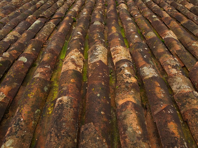 Free Roof Tiles Pattern photo and picture