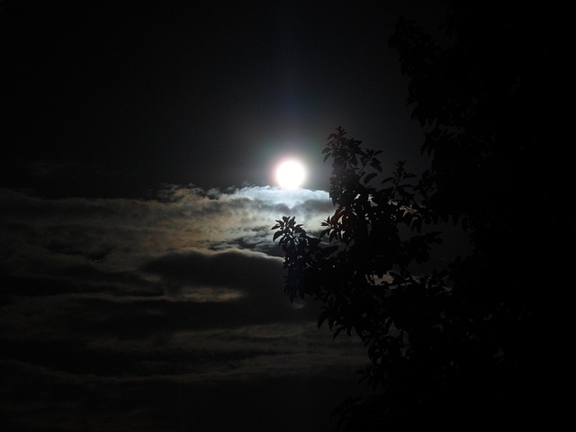 Free Moon Brightness photo and picture