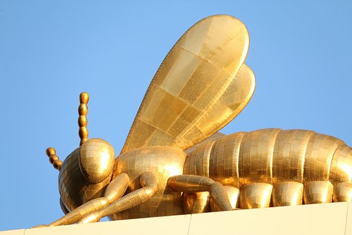 Free Golden Bee Bee photo and picture