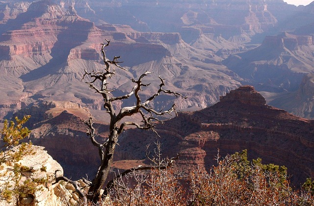 Free Arizona South Rim photo and picture