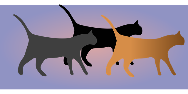 Free cats walking pets vector
