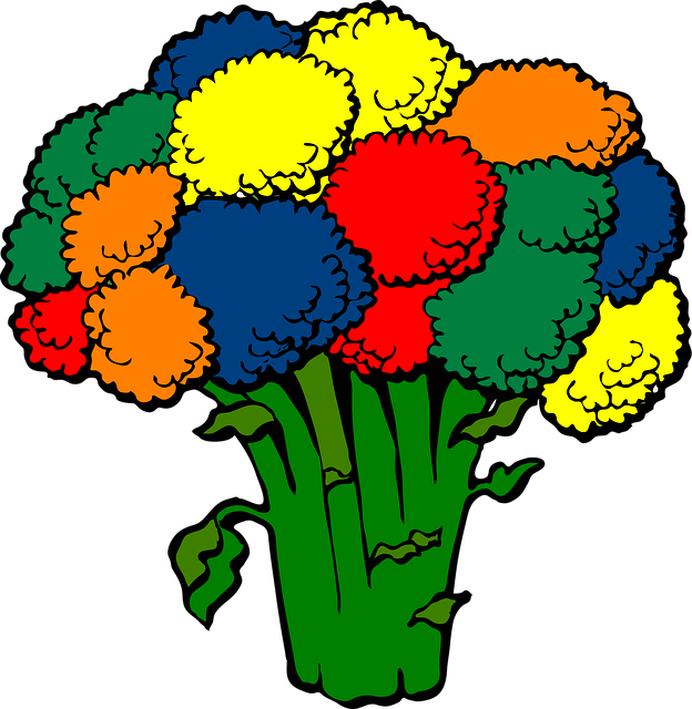 Free Broccoli Colors vector and picture