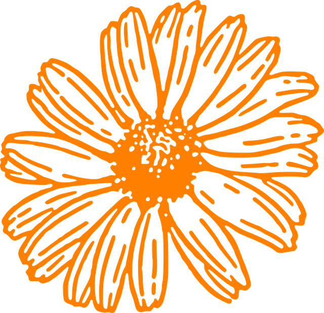 Download free HD stock image of Flower Flower Background Free flower flower background daisy vector