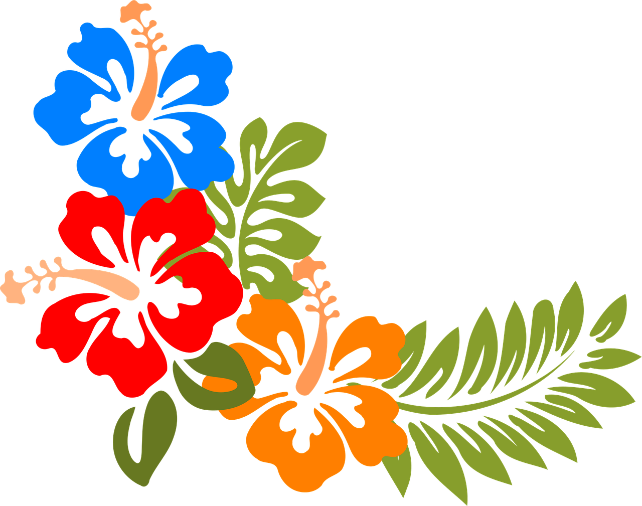 Ibisco Hawaii Fiori Grafica Vettoriale Gratuita Su Pixabay