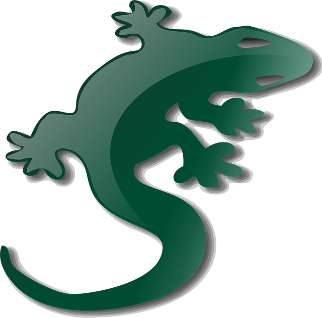 Free salamander lizard reptile vector