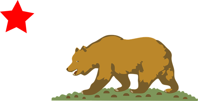 Free republicans usa bear vector