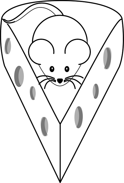 Download free HD stock image of Mouse Cheese Free mouse cheese nature vector