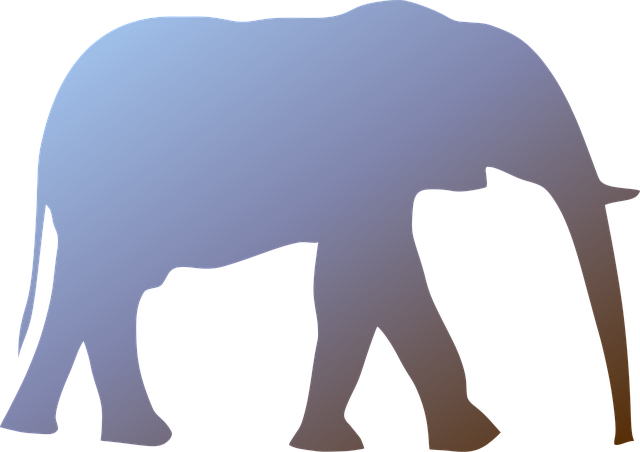 Elefante, Mamífero, Animal, Selvagem