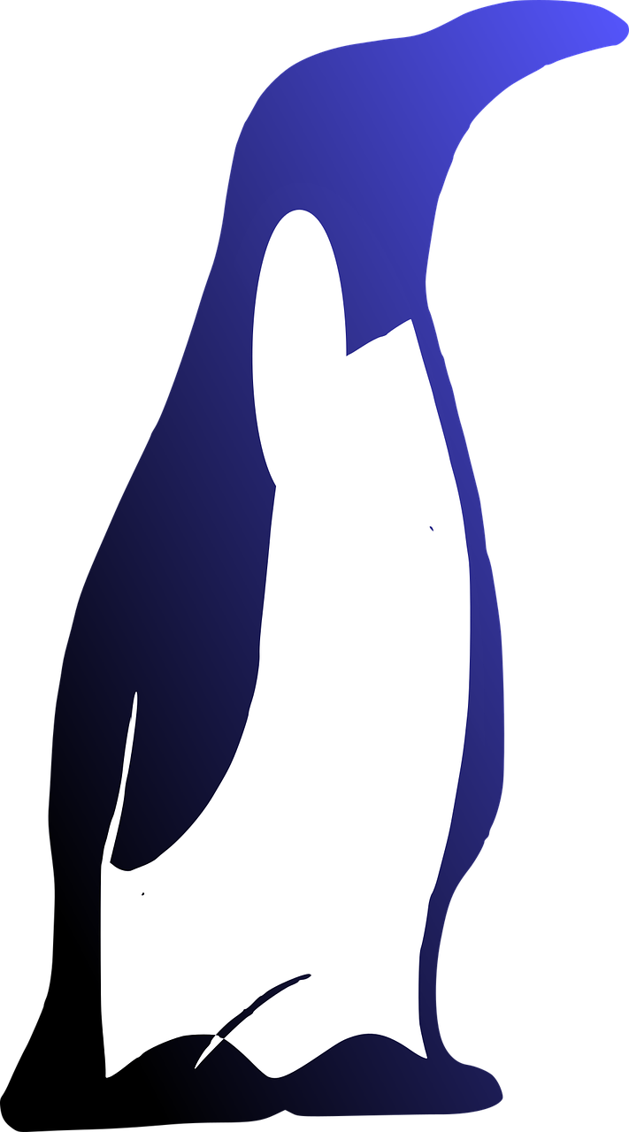 Download Penguin, Bird, Animal. Royalty-Free Vector Graphic - Pixabay