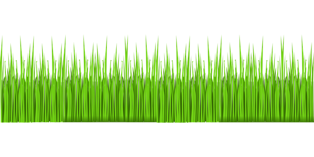 Free grass green lawn vector