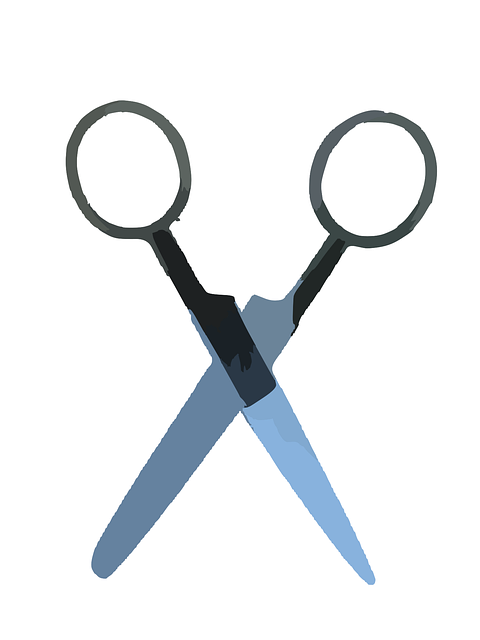 Free scissors cut office vector
