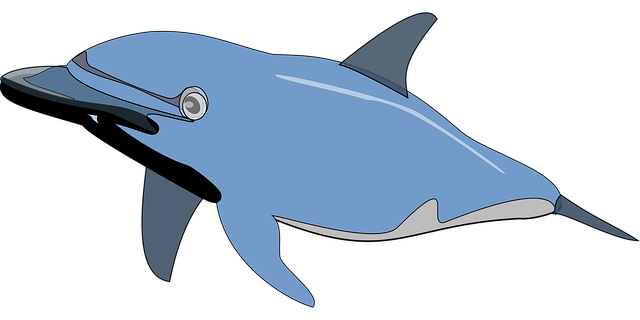 Free dolphin fish mammal illustration