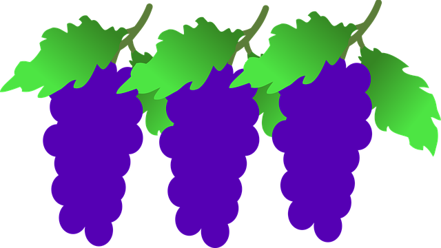 Free grapes clusters grapevine vector