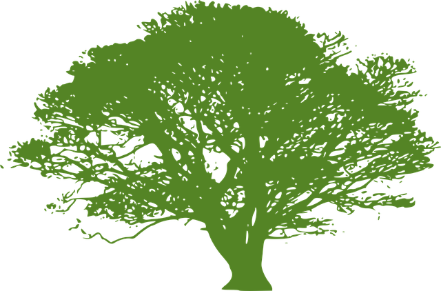 Free tree green silhouette illustration