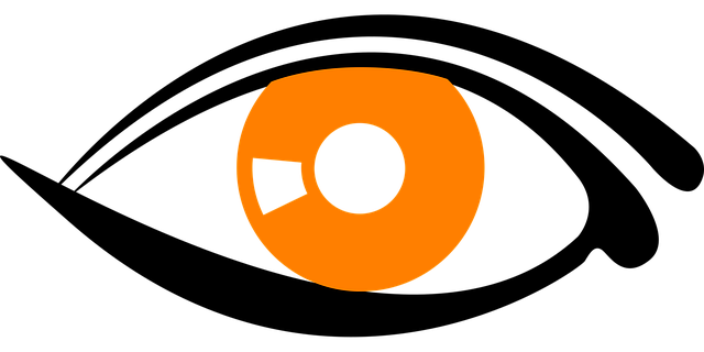 Ochi, Elev, Iris, Retină, Globul Ocular