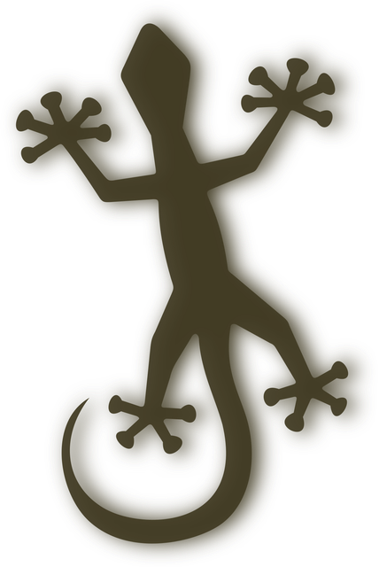 Gekko, Salamander, Hagedis, Silhouet