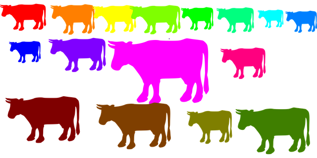 Free cows herd animals vector