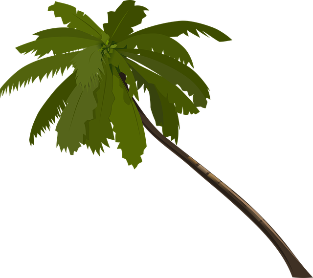 Free palm tree fronds vector