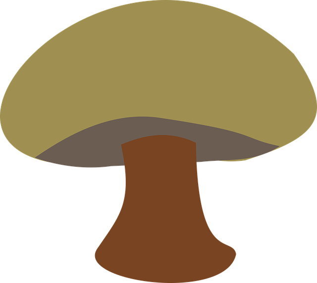 Free mushroom brown little vector
