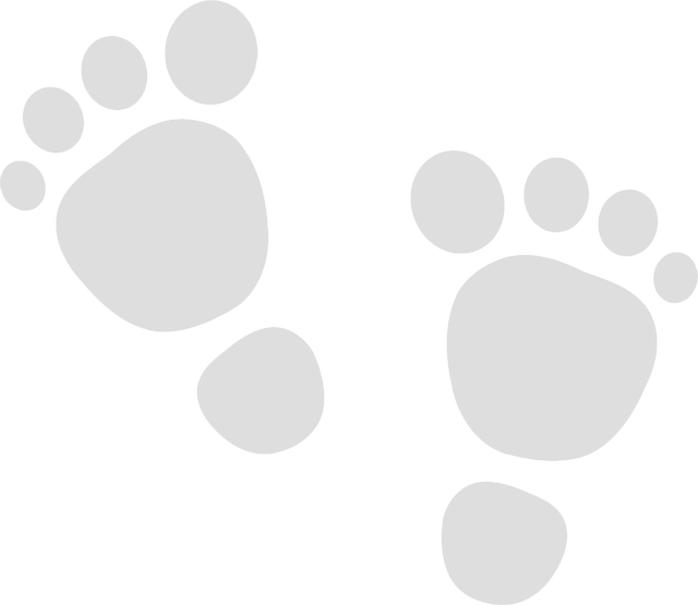Free baby small feet vector
