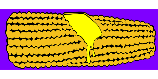 Free corn cob food illustration