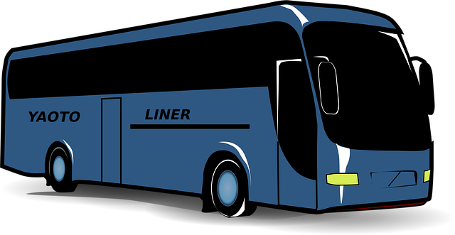 Free bus public transport transport vector