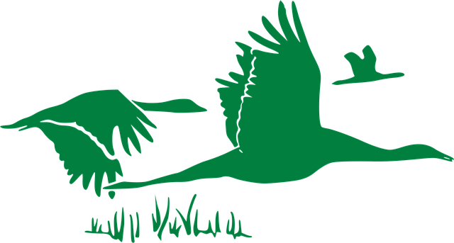 Free geese flock flying vector