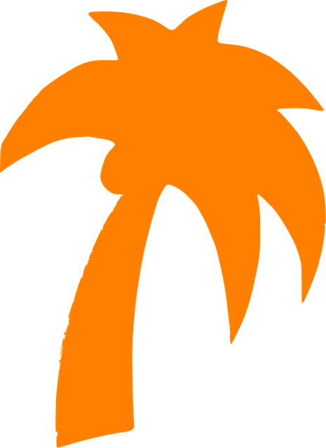 Palma, Árbol, Botánico, Viaje, Sombra