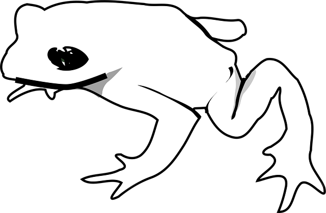 Free frog animal reptile vector