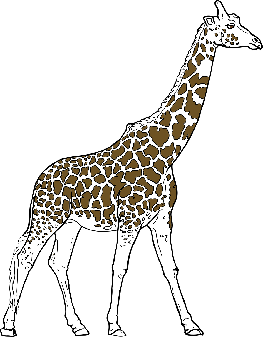Giraffe Clipart Outline Giraffe Clipart Outline