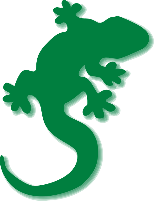 Free lizard green gecko vector
