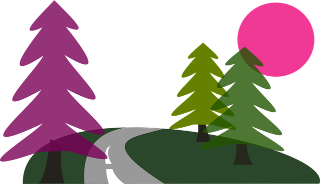 Download free HD stock image of Sun Road Free sun road trees vector