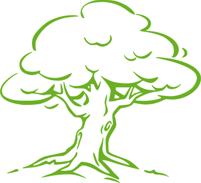 Download free HD stock image of Tree Big Free tree big old vector