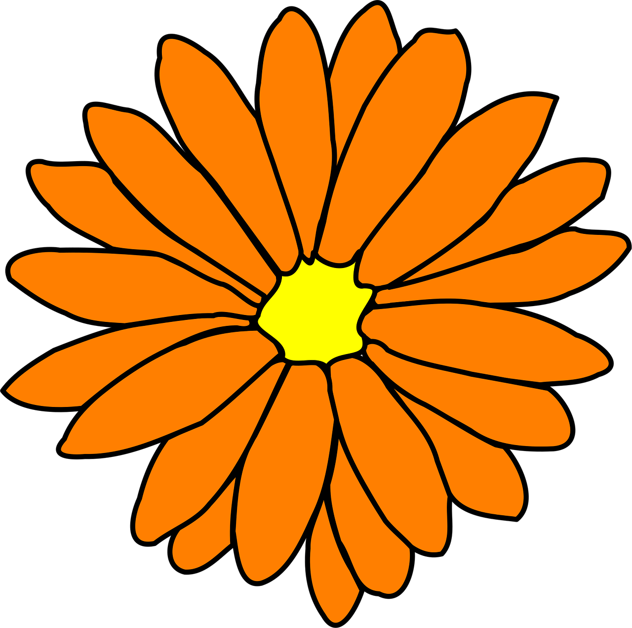 My Image 9