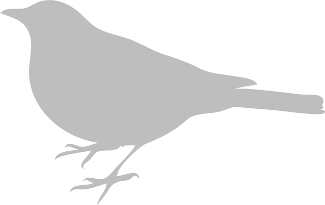 Free black bird silhouette standing vector