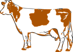 cow, udder, company