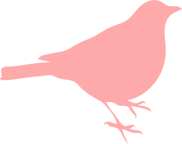 Free blackbird standing silhouette illustration