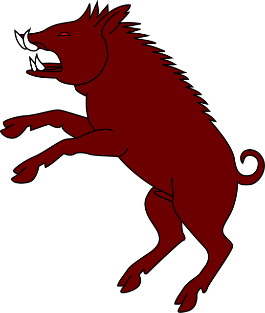 Free boar pig aggressive vector