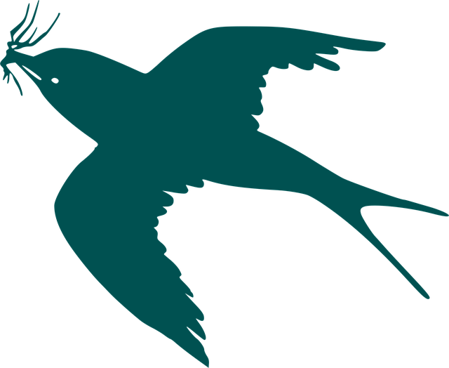 Free swallow martin nesting vector