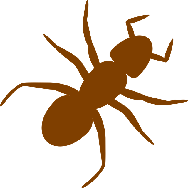 Free ant insect silhouette vector